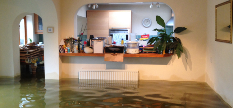 commercial water damage restoration in Tamiami