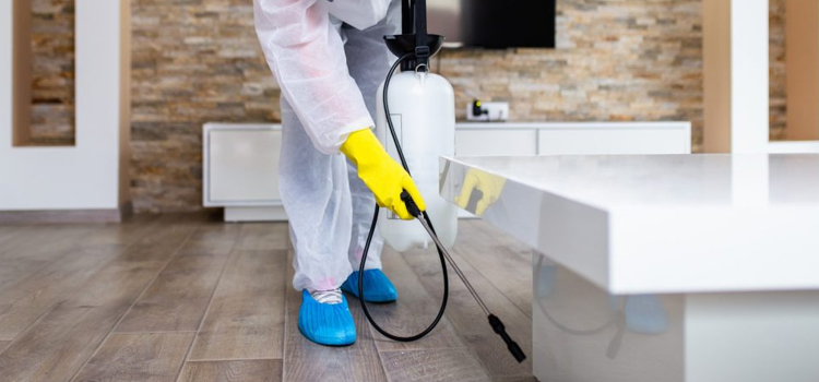 Crystal Beach Office Disinfection Service 