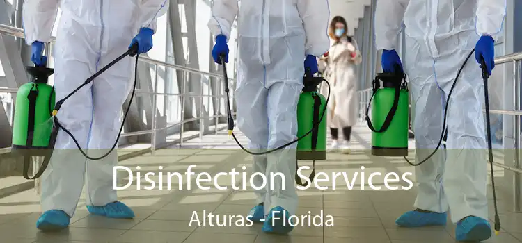 Disinfection Services Alturas - Florida