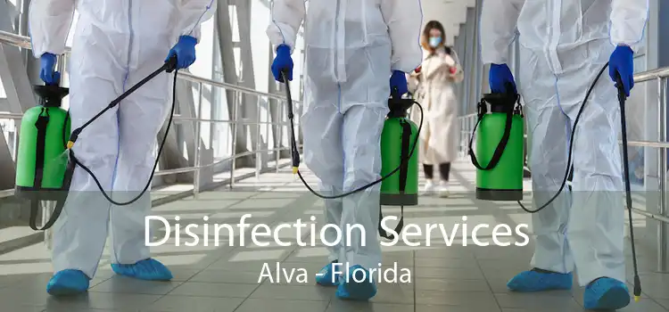 Disinfection Services Alva - Florida