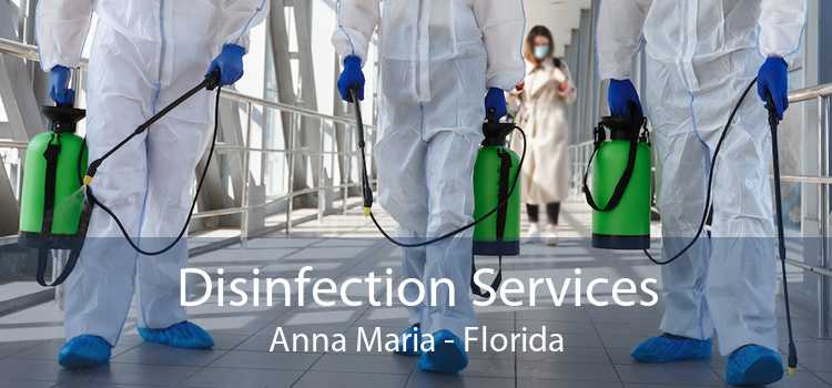 Disinfection Services Anna Maria - Florida