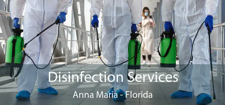 Disinfection Services Anna Maria - Florida