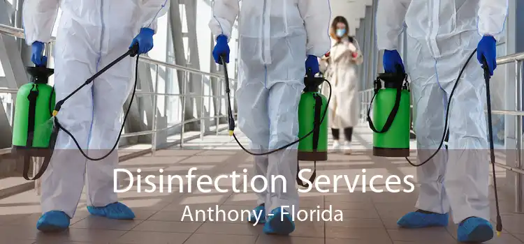 Disinfection Services Anthony - Florida