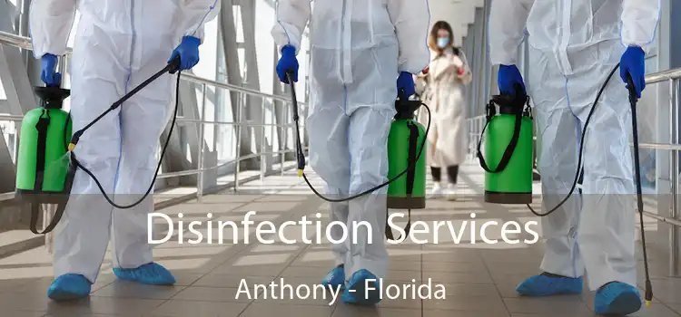 Disinfection Services Anthony - Florida