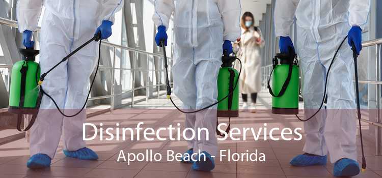 Disinfection Services Apollo Beach - Florida