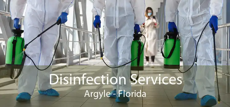 Disinfection Services Argyle - Florida