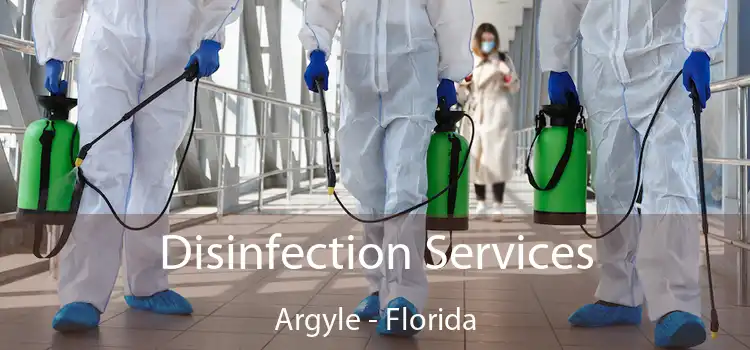 Disinfection Services Argyle - Florida