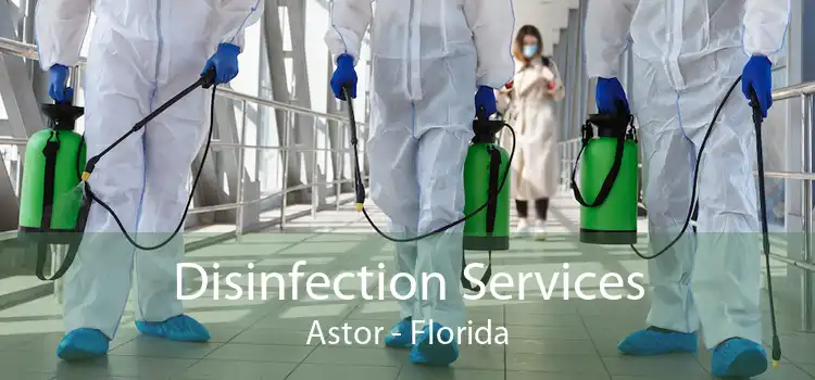 Disinfection Services Astor - Florida