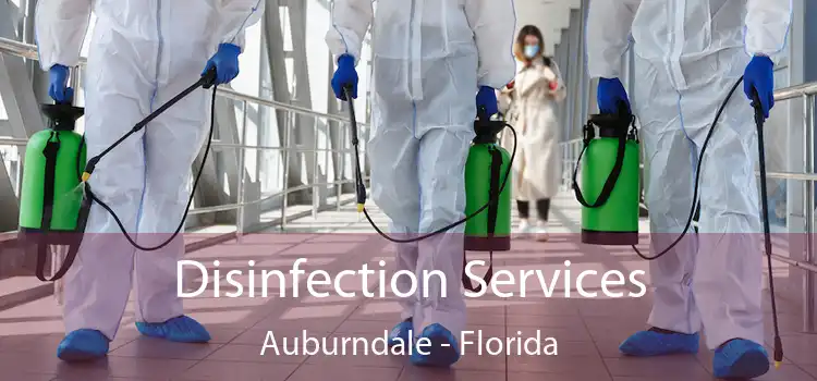 Disinfection Services Auburndale - Florida