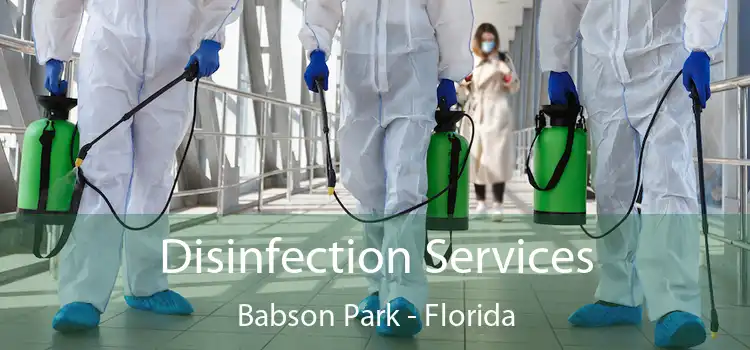 Disinfection Services Babson Park - Florida