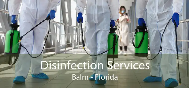 Disinfection Services Balm - Florida