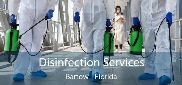 Disinfection Services Bartow - Florida