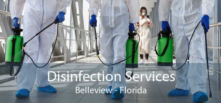 Disinfection Services Belleview - Florida