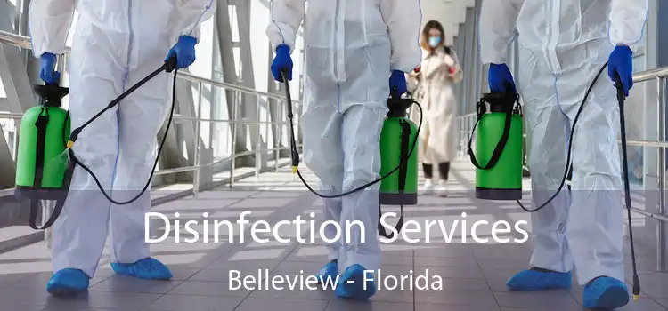 Disinfection Services Belleview - Florida