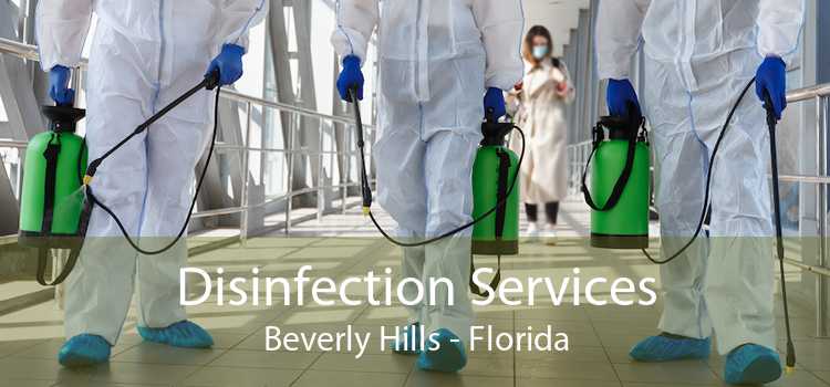 Disinfection Services Beverly Hills - Florida