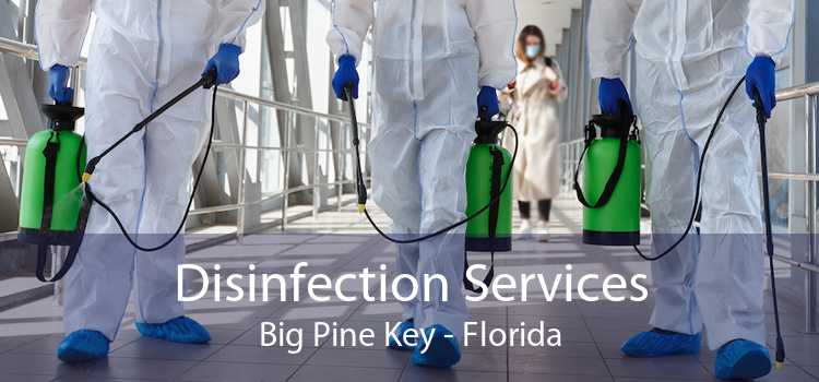 Disinfection Services Big Pine Key - Florida