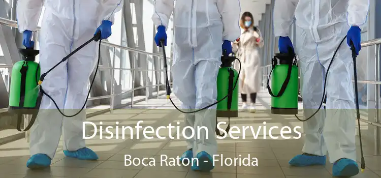 Disinfection Services Boca Raton - Florida