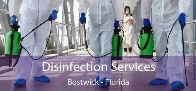 Disinfection Services Bostwick - Florida