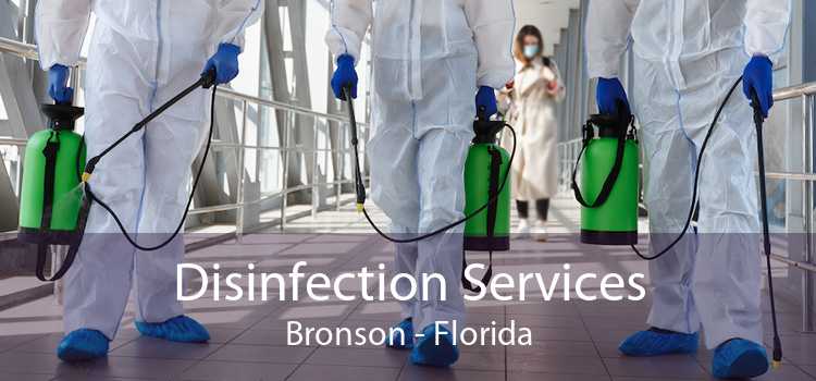Disinfection Services Bronson - Florida