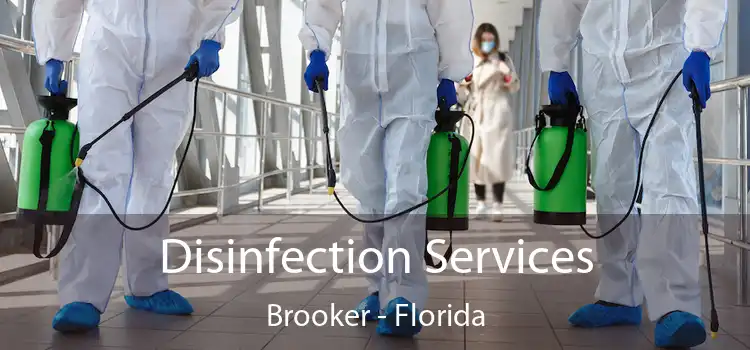 Disinfection Services Brooker - Florida