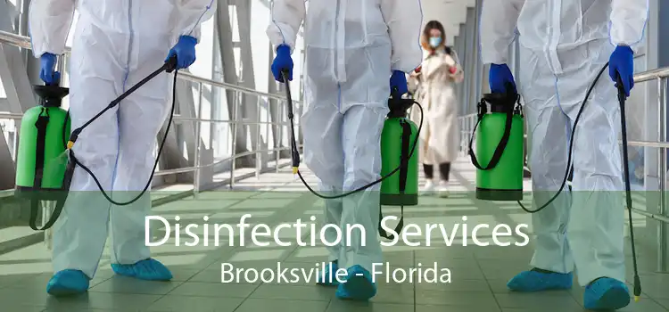 Disinfection Services Brooksville - Florida