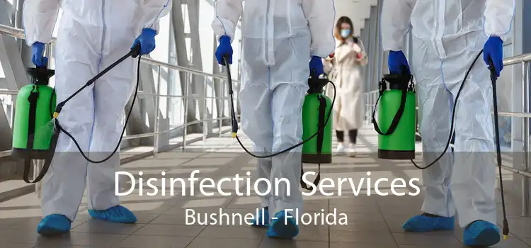 Disinfection Services Bushnell - Florida