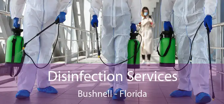 Disinfection Services Bushnell - Florida