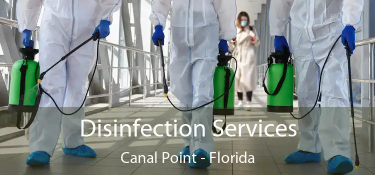 Disinfection Services Canal Point - Florida