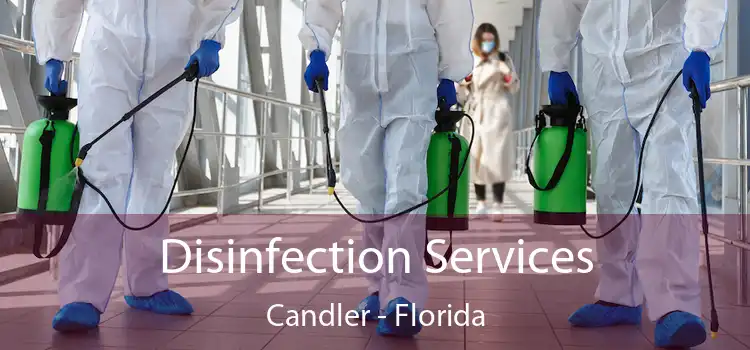 Disinfection Services Candler - Florida