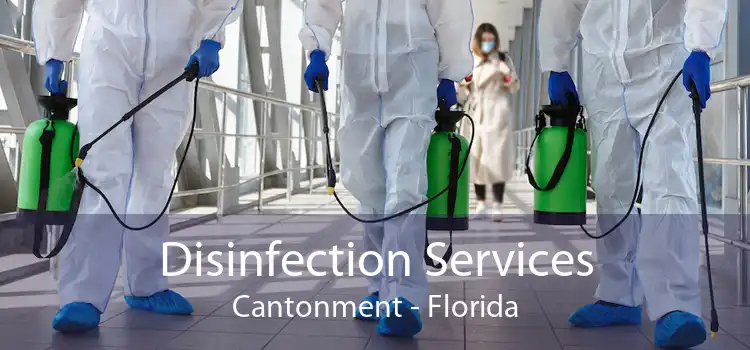 Disinfection Services Cantonment - Florida