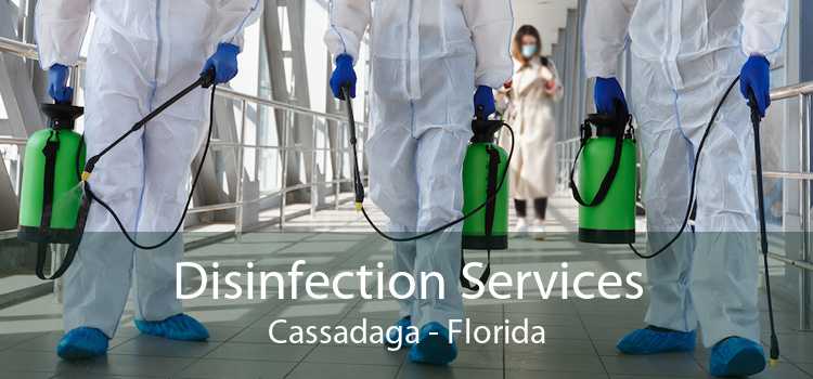 Disinfection Services Cassadaga - Florida