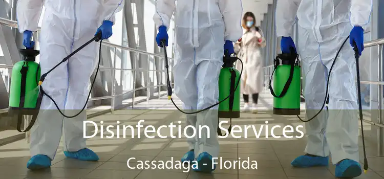 Disinfection Services Cassadaga - Florida