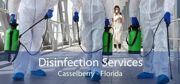 Disinfection Services Casselberry - Florida