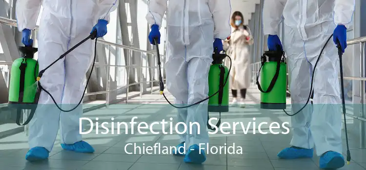Disinfection Services Chiefland - Florida