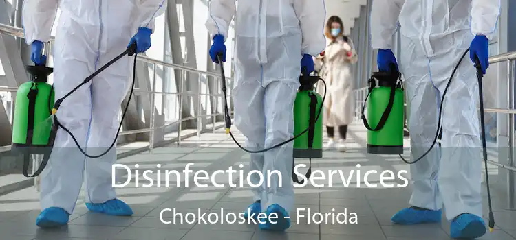 Disinfection Services Chokoloskee - Florida