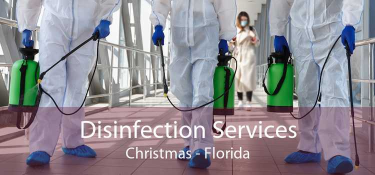 Disinfection Services Christmas - Florida