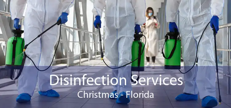 Disinfection Services Christmas - Florida