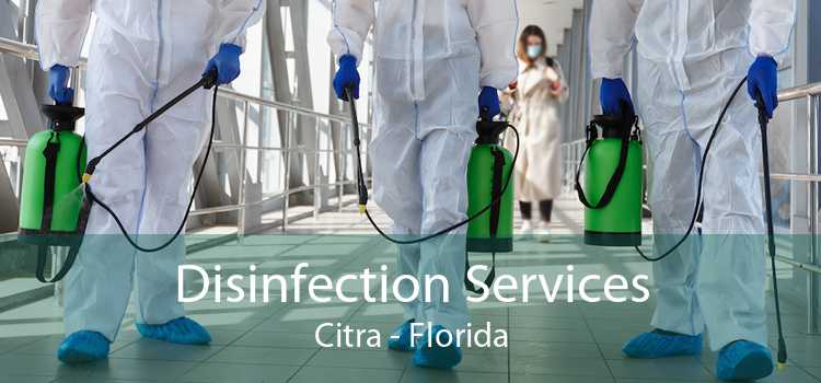 Disinfection Services Citra - Florida