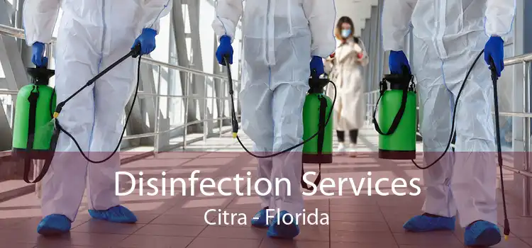 Disinfection Services Citra - Florida