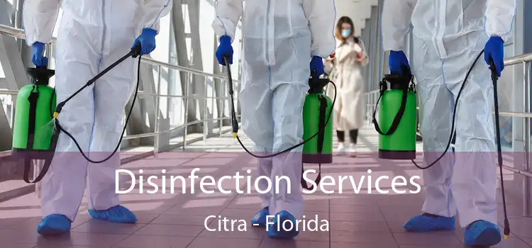 Disinfection Services Citra - Florida