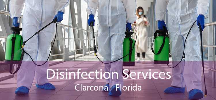 Disinfection Services Clarcona - Florida