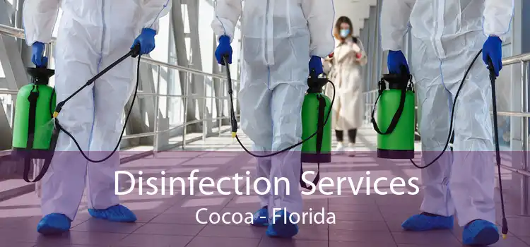 Disinfection Services Cocoa - Florida