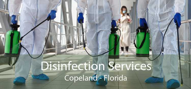 Disinfection Services Copeland - Florida