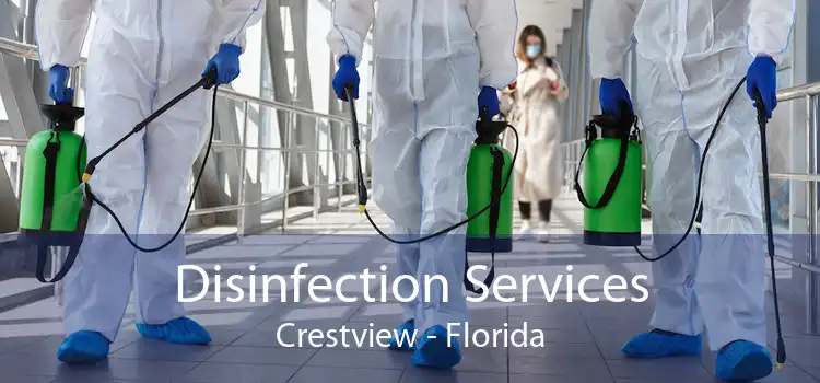 Disinfection Services Crestview - Florida