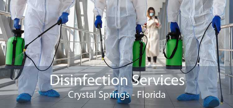 Disinfection Services Crystal Springs - Florida