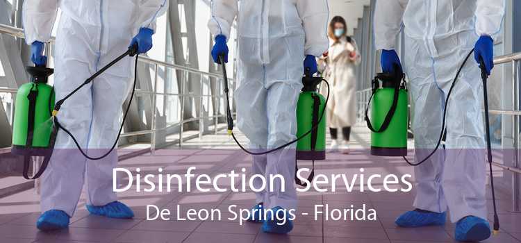 Disinfection Services De Leon Springs - Florida