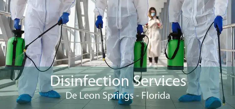 Disinfection Services De Leon Springs - Florida