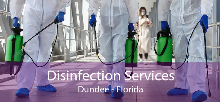 Disinfection Services Dundee - Florida
