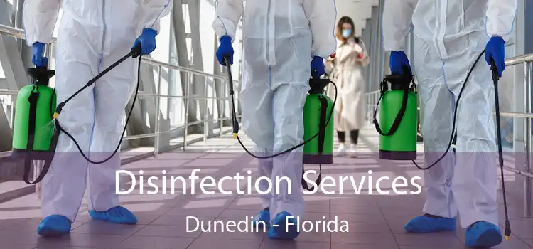 Disinfection Services Dunedin - Florida