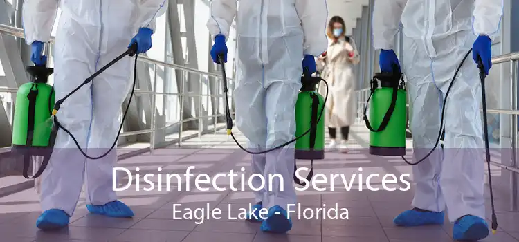 Disinfection Services Eagle Lake - Florida